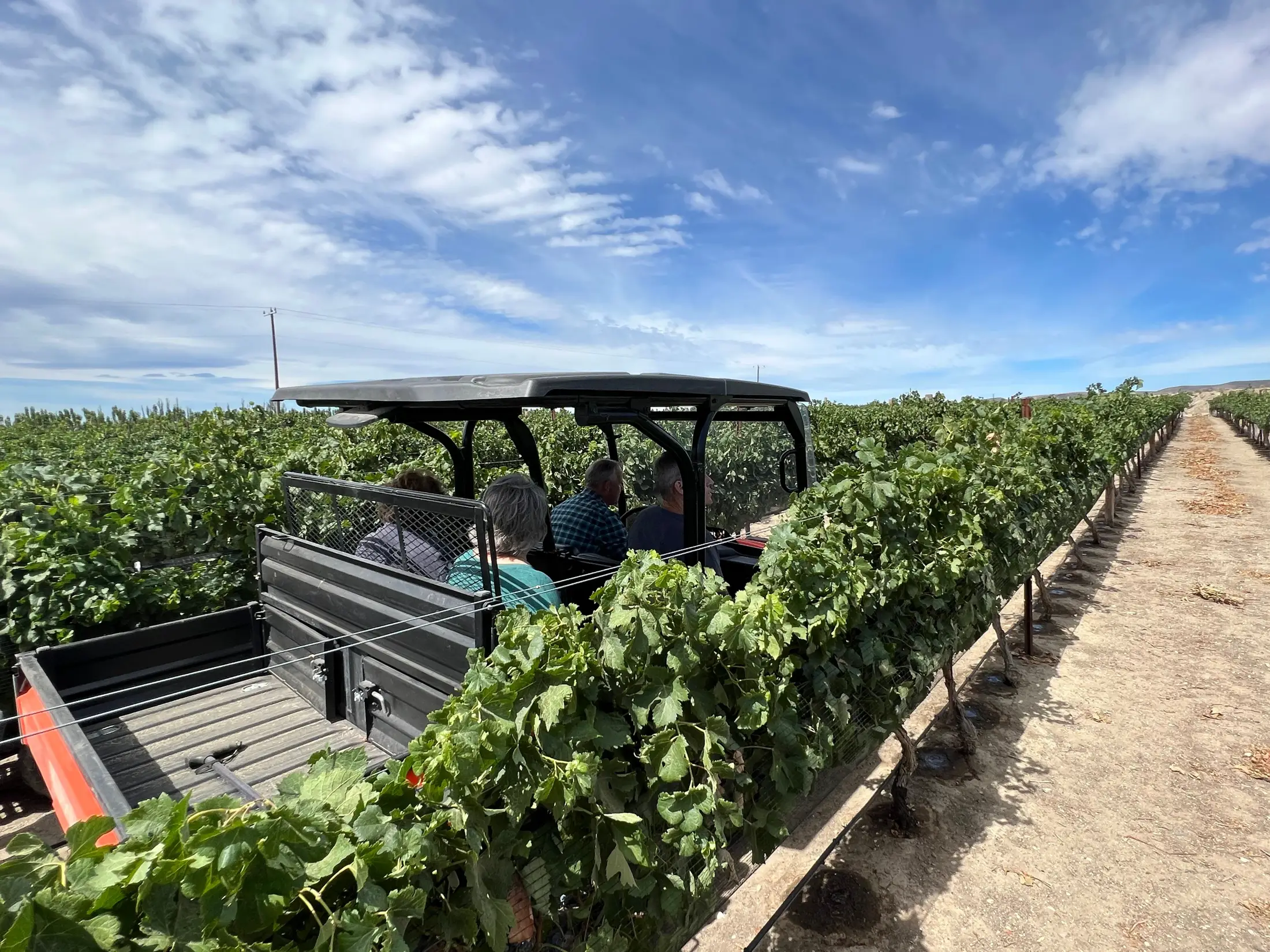 Vineyard tours at Whitman Hill Winery